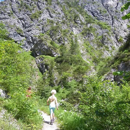 Haus Oetscherteufel * Lackenhof