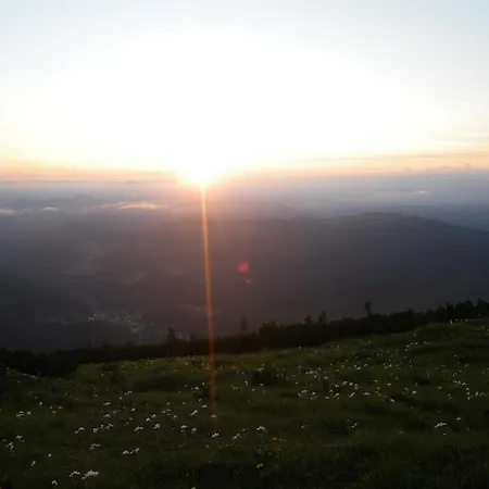 Privat bolig Haus Oetscherteufel