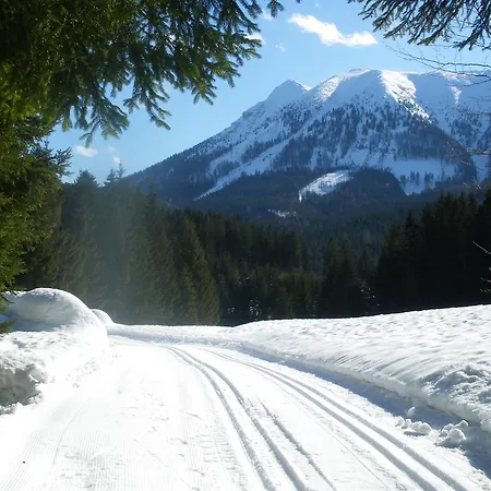 Haus Oetscherteufel *