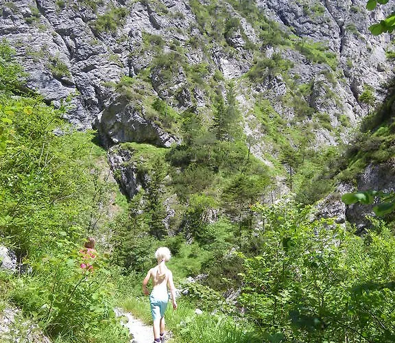 Haus ötscherteufel * Lackenhof