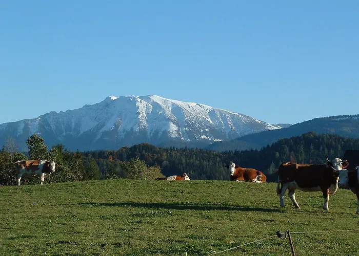 Haus Oetscherteufel Séjour chez l'habitant Lackenhof